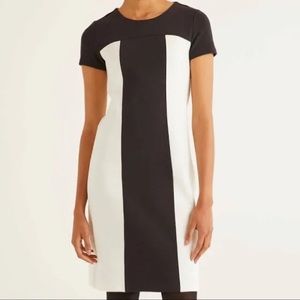 BODEN dress black and white sz (12)